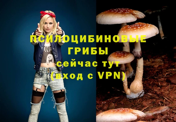 шишки Абинск