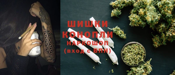 шишки Абинск