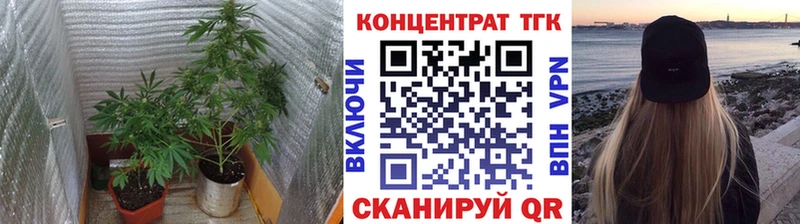 ТГК Wax  Осташков 