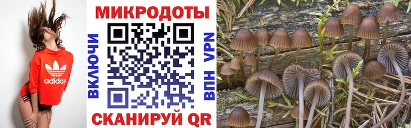 купить закладку  ссылка на мегу ссылка  Галлюциногенные грибы Magic Shrooms  Осташков 